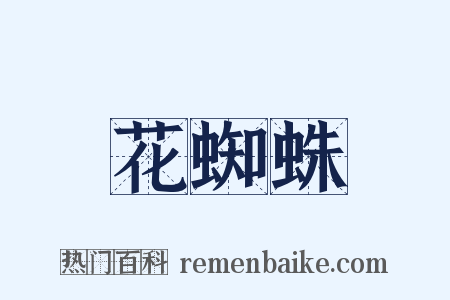 花蜘蛛是什么意思的图片